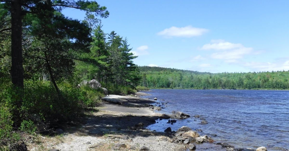 Ducktail and Partridge Ponds, Amherst Mountains Community Forest