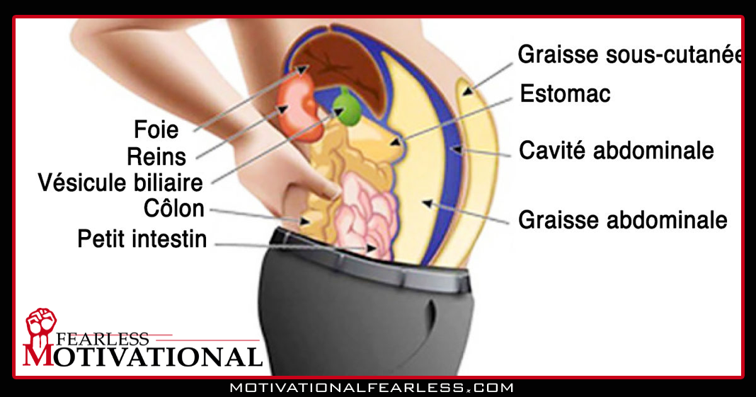 Losing weight The 4 best ways to eliminate all the dangerous toxins