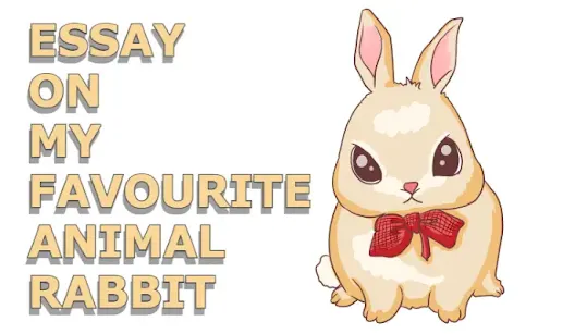 Essay on my favourite animal rabbit