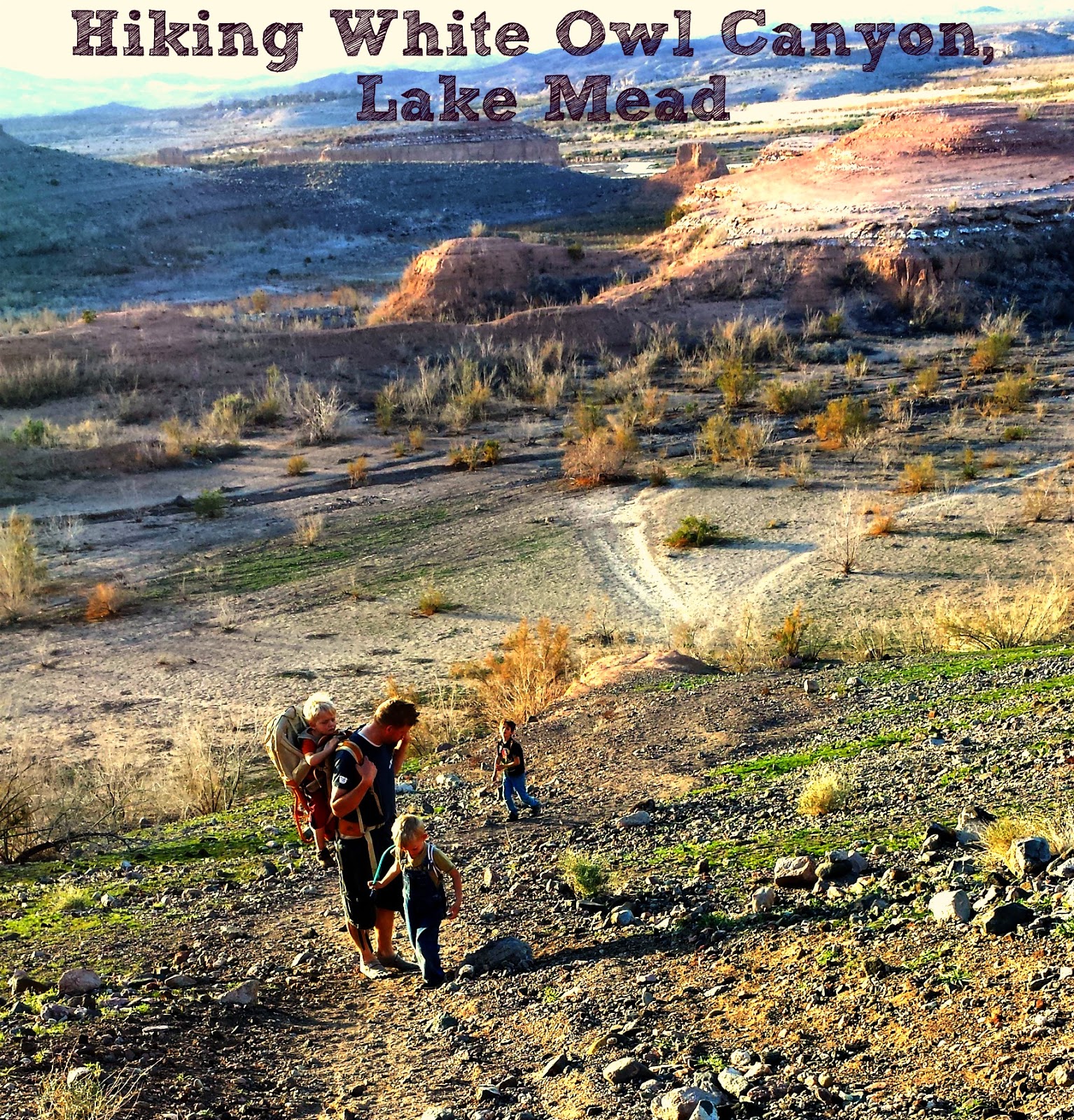 A Local Wander Hiking White Owl Canyon