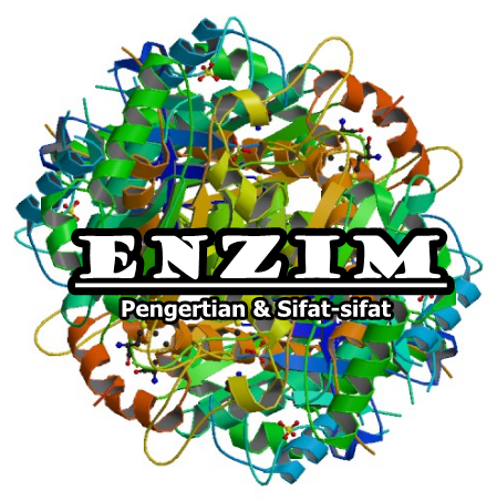 8 Sifat Sifat Umum Enzim