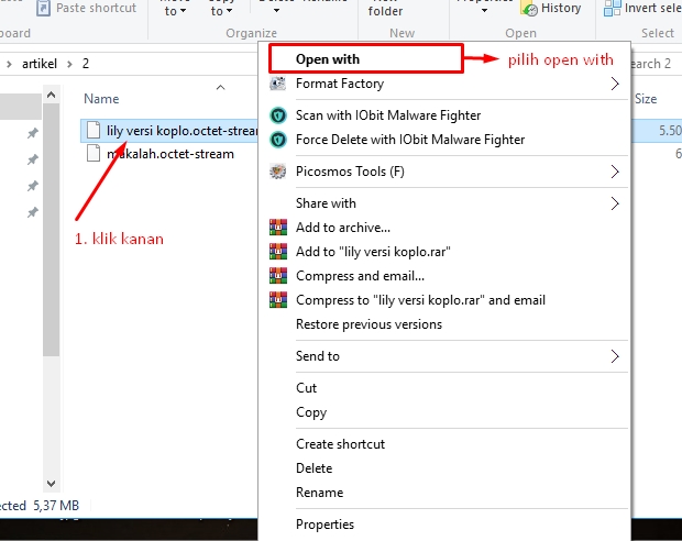 Ii. Application/octet-stream как открыть. Application octet stream. Application octet stream. Iis file.