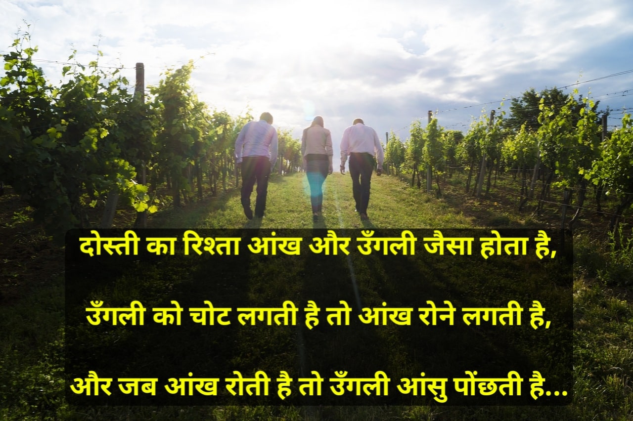 shayari dosti shayari shayari dosti shayari