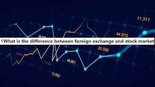 What is the difference between foreign exchange and the stock market
