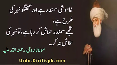 Rumi Quotes in Urdu