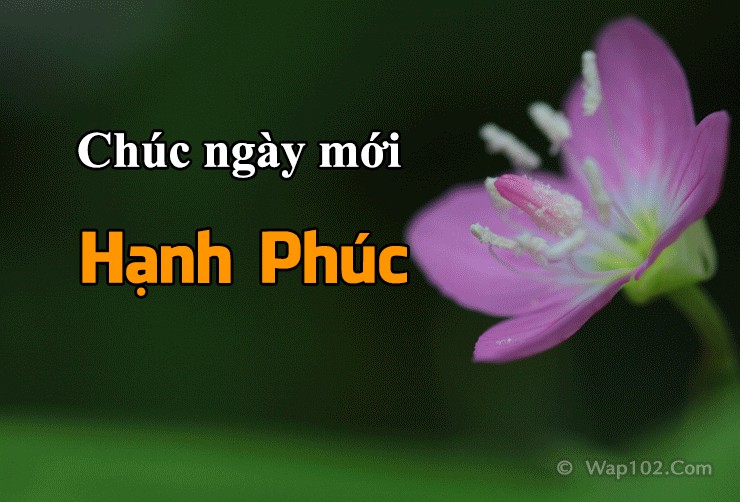 Hình ảnh chào ngày mới xinh tươi đẹp ngộ nghĩnh nhất just a moment