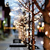 Winter Wonderland! Christmas! |Christmas Blog
