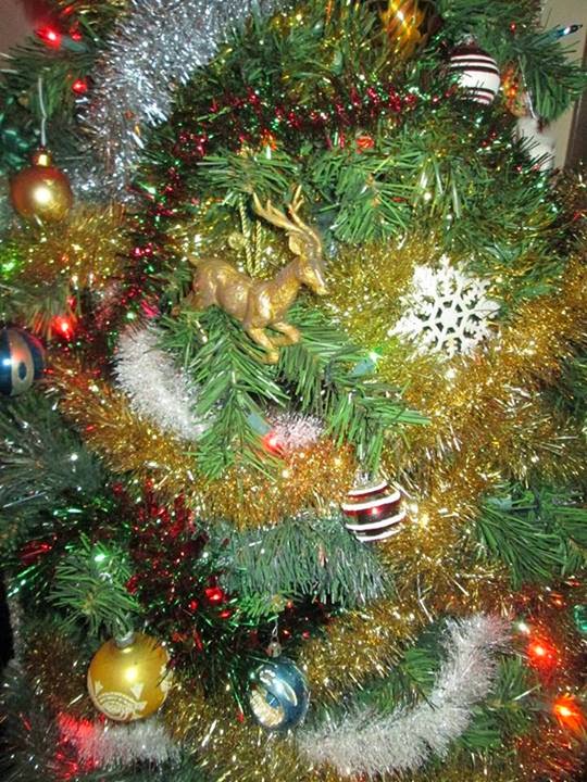 The Wild Reed: Advent: The Season of Blessed Paradox