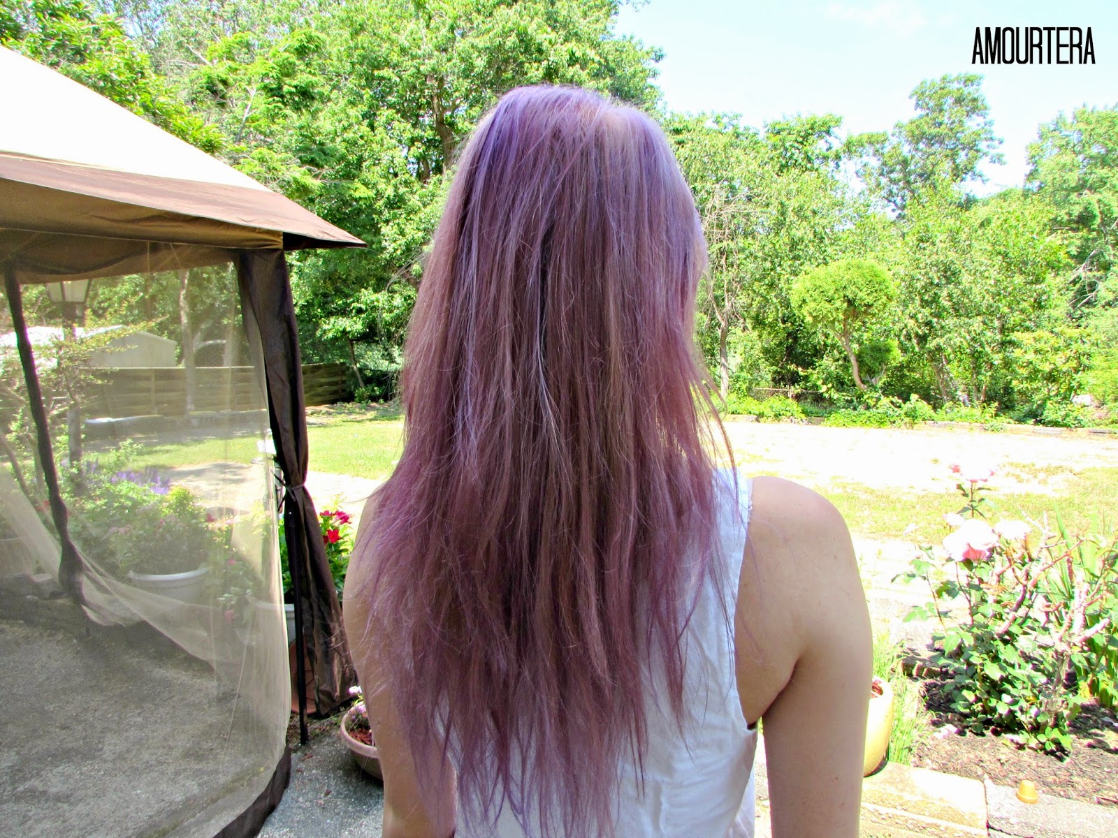 Amourtera Purple Hair Care Update And Faq