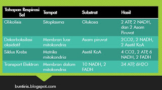 Proses pengubahan molekul kompleks menjadi molekul sederhana dan melepaskan energi dalam bentuk atp