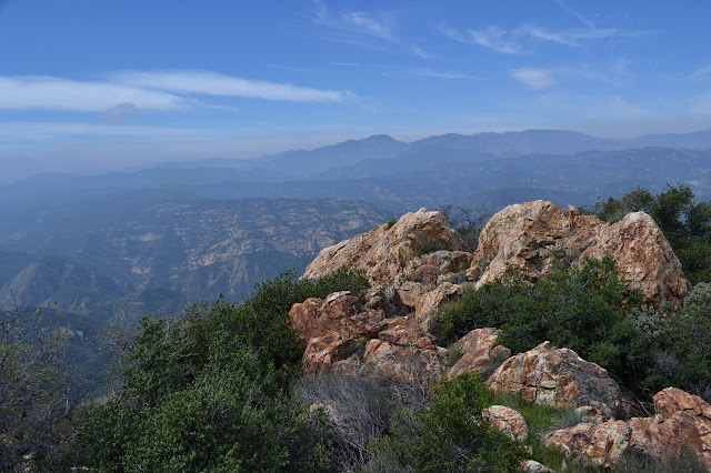 Alamo Mountain and friends