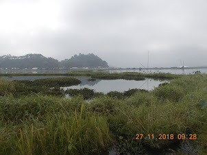 On a Phundi in the midst of Loktak lake in Manipur.