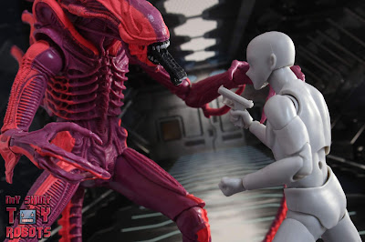 NECA Xenomorph Warrior Arcade Appearance 35