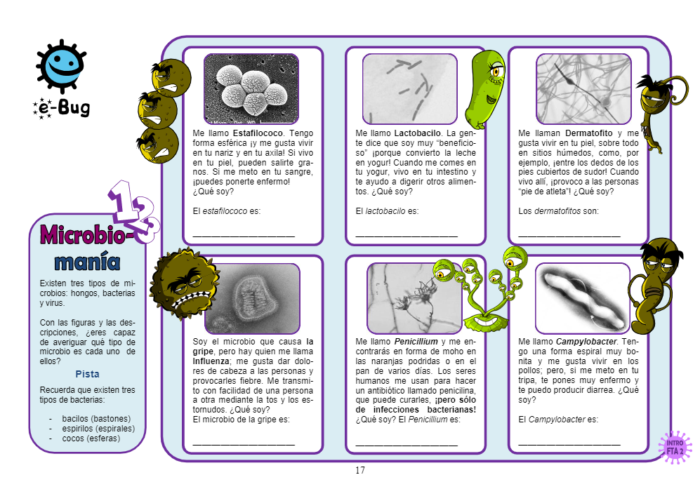 Actividades grado segundo Actividades Grado 2°