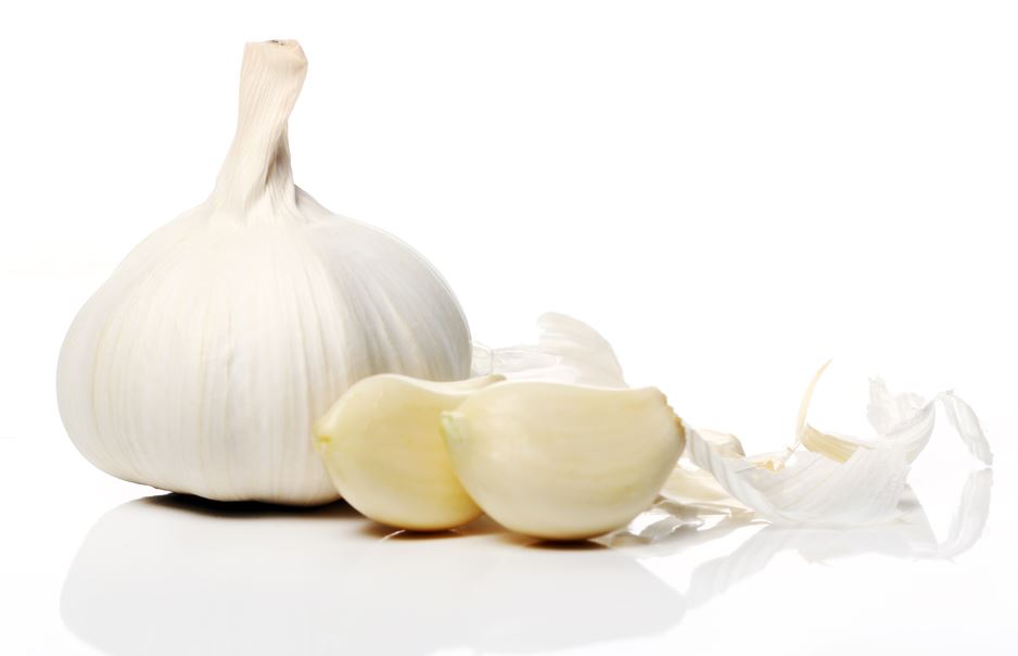 harga bawang putih harga bawang putih