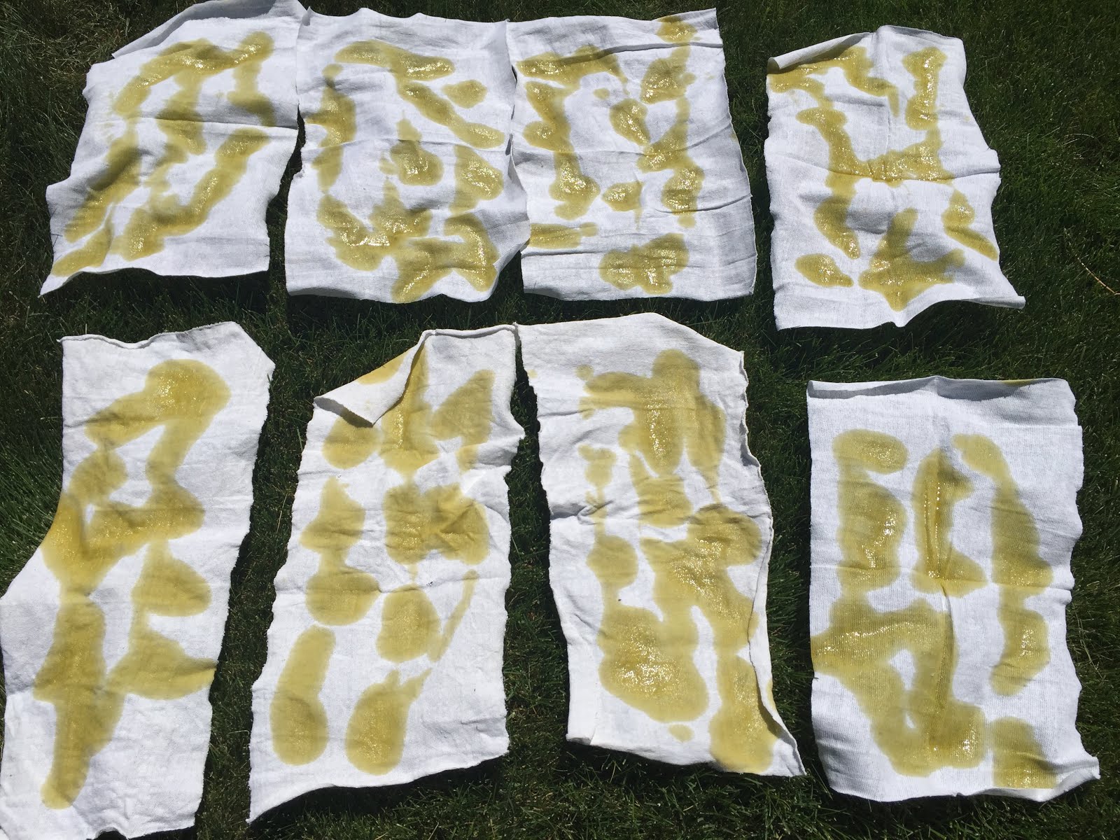 Davy's Blog Spontaneous Combustion of Linseed Oil