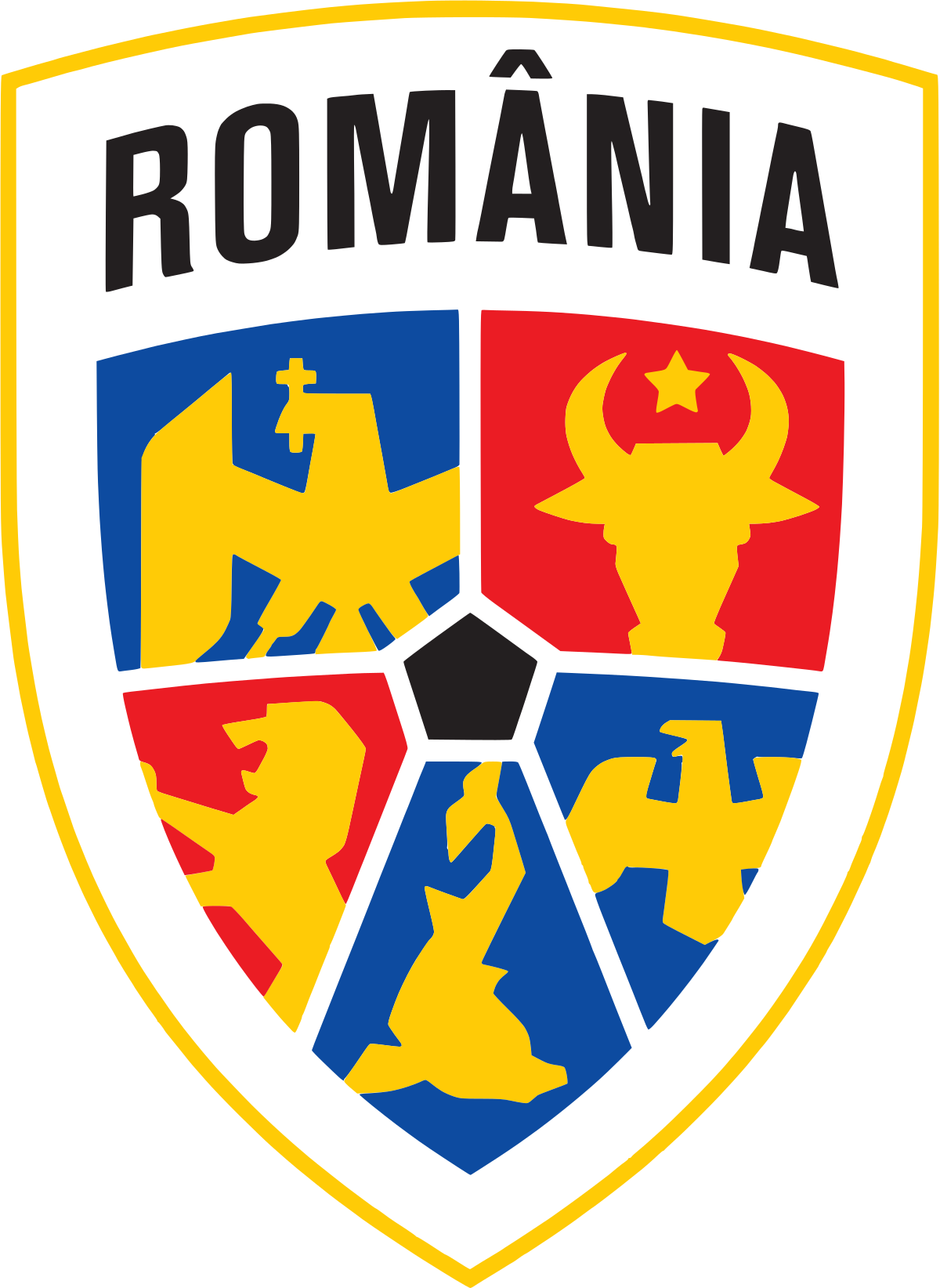 Defunct Romanian football clubs: FC Baia Mare, FC Politehnica Iaşi