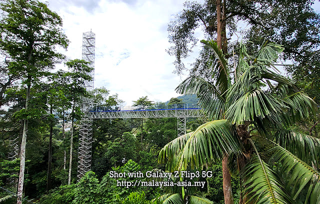 Forest Skywalk au FRIM