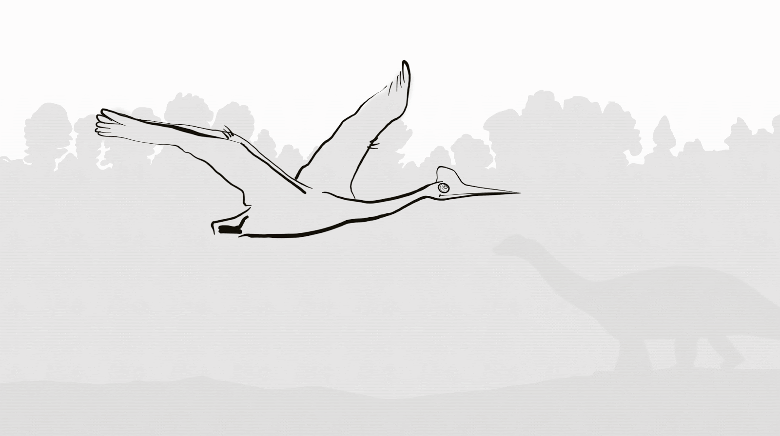 reading allowed Sundays ANIMATION a winged dinosaur