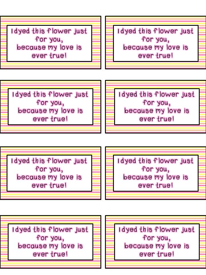 For the Love of First Grade Colorful Carnations, Magnificent Moms