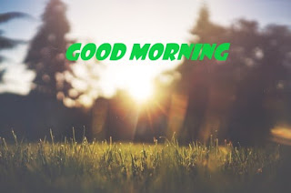 Best Good Morning Messages Quotes & Pictures