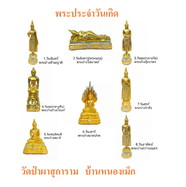 My Image 30