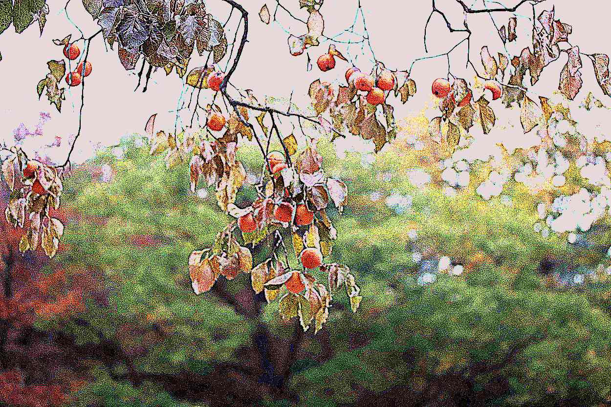 공주 태화산 마곡사