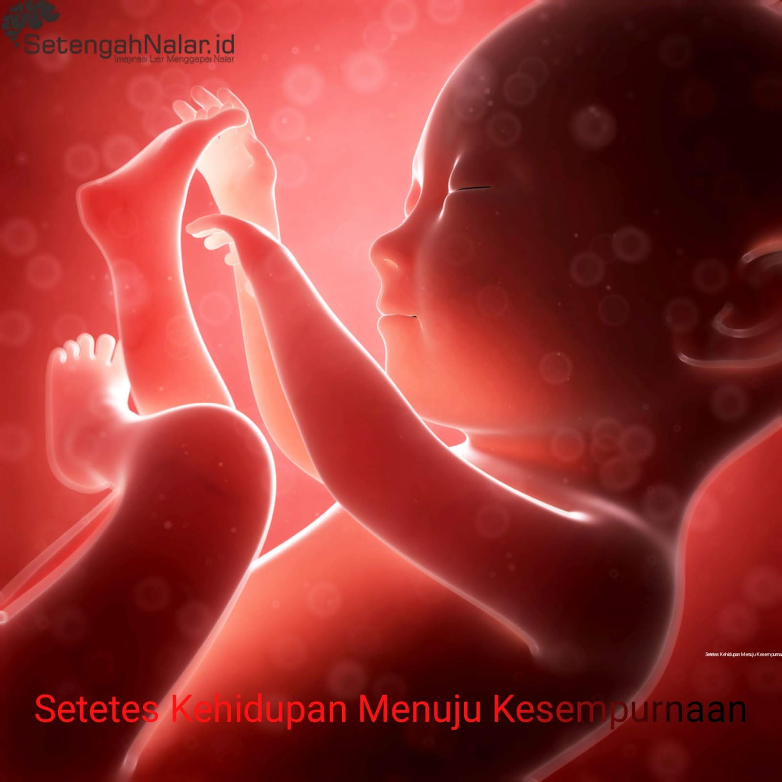 Setetes Kehidupan