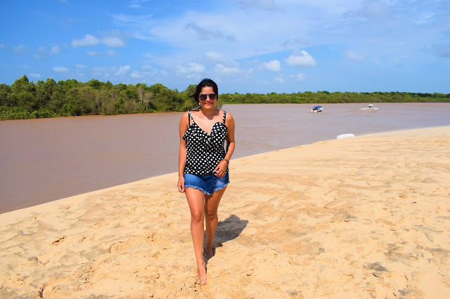 delta do rio parnaiba areia, rio e mata