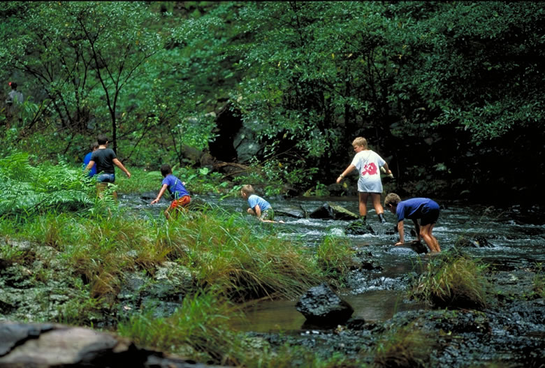 Exploring Major Activity Sophie Wilson//What Is Good?: Activity: Exploring.
