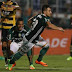 Palmeiras defende invencibilidade contra Novorizontino neste sábado