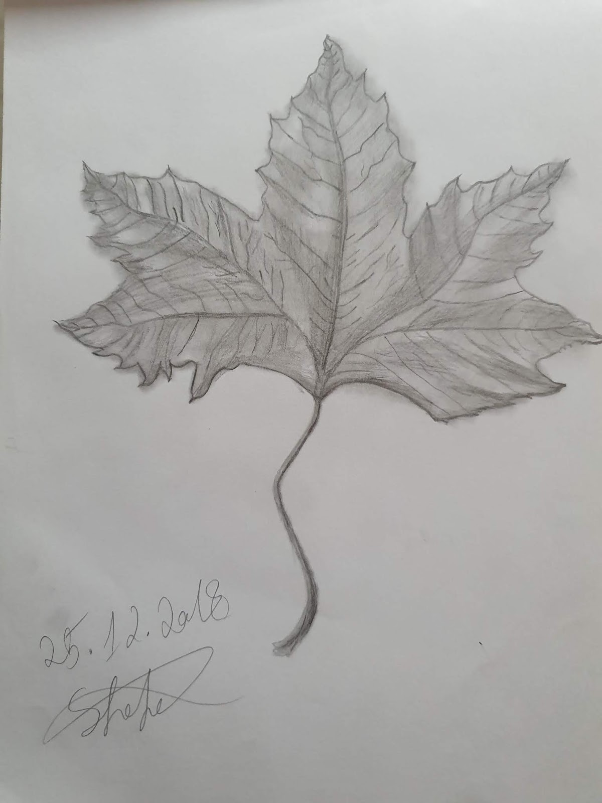 Shahd Moonlight كراسة الاسكتش الخاصه بي لرسم بالرصاص My Sketchbook For Drawing Exercises