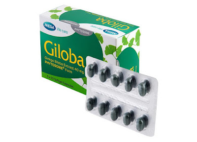 Giloba 40 mg của Mega Wecare (Thái Lan)
