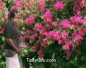 brahmi9.gif