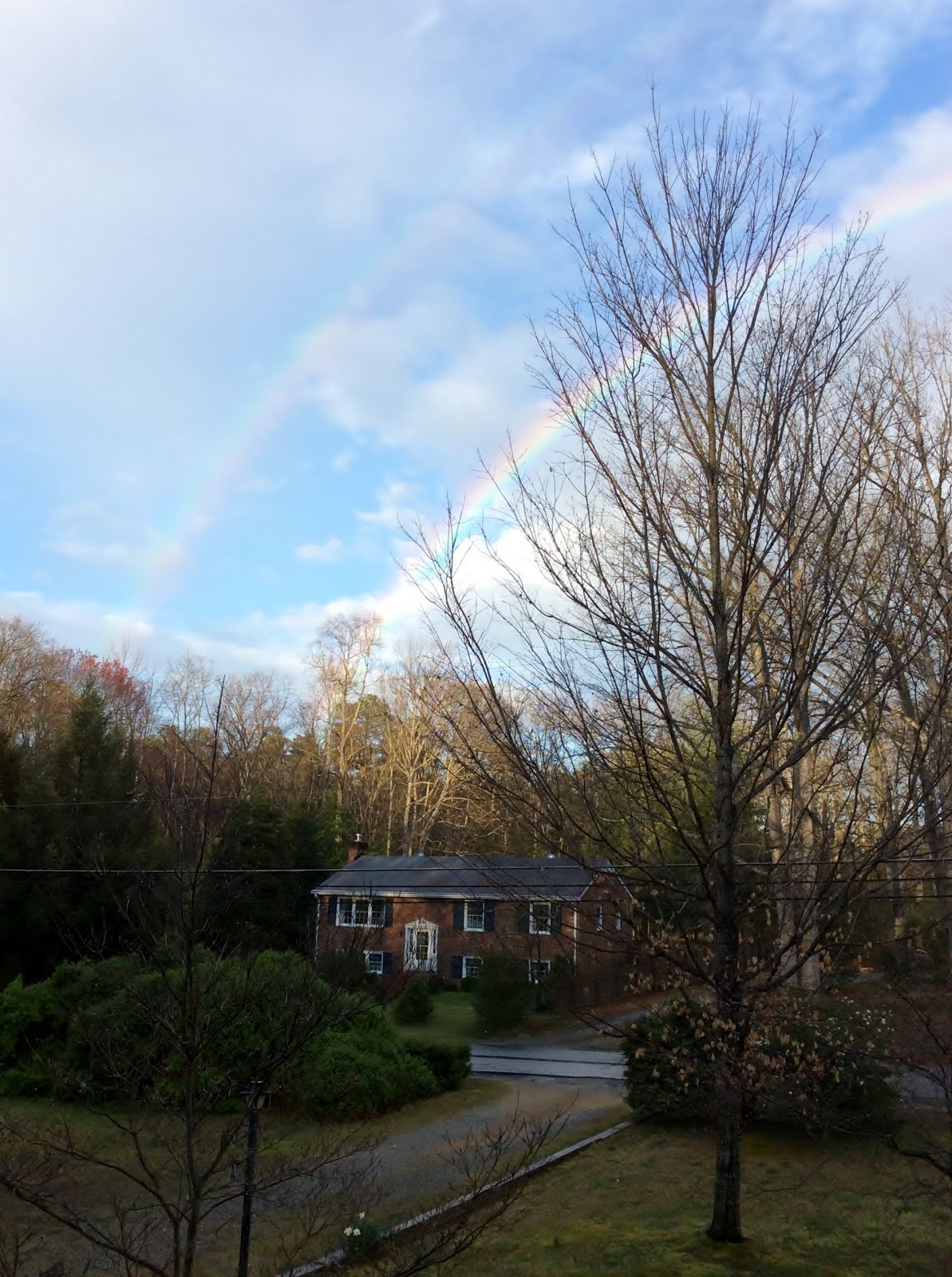 Rainbow - 3.2017
