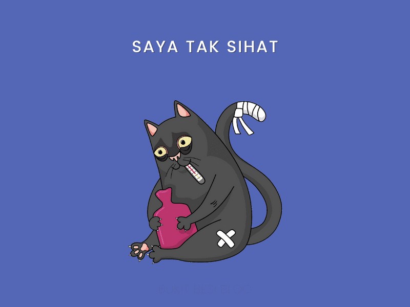 Kucing Cirit Birit & Cara Merawat Tanpa Makan Ubat (Anak) Bukit Besi Blog