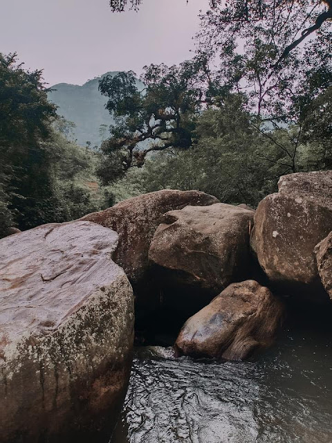 නළගන කොමළිය සොයා - නළගන ඇල්ලට🌿🌿 💦🌿 (𝗡𝗮𝗹𝗮𝗴𝗮𝗻𝗮 𝗘𝗹𝗹𝗮) - Your Choice Way