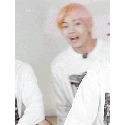 BarrenPointedKilldeer-size_restricted.gi