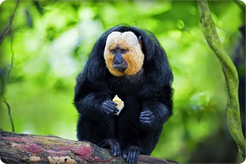 أجمل 10 مناطق للحياة البرية