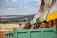 Grape harvester: Gregoire G8