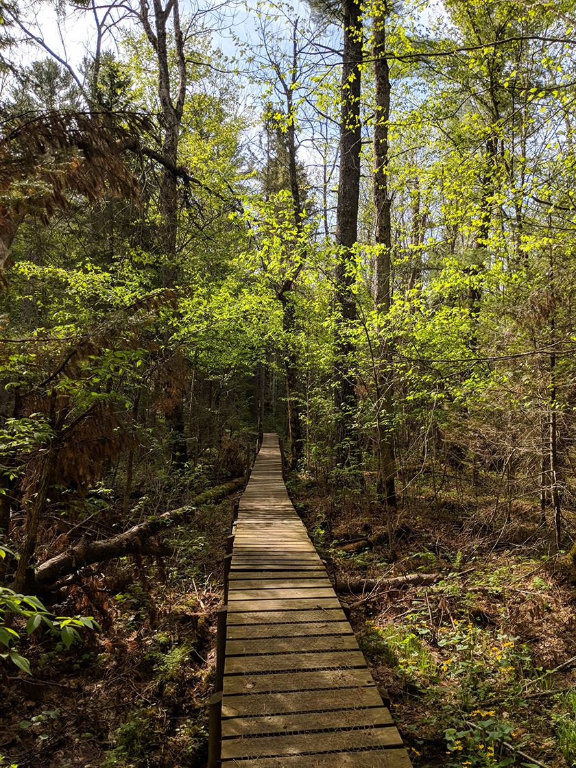 Hiking the Ice Age Trail Harwood Lakes Segment