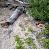 BARAHONA: Entérate a quien hallaron muerto hoy Viernes 13 de Noviembre en Playa Saladillas.