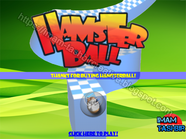 Hamster Ball Code 111
