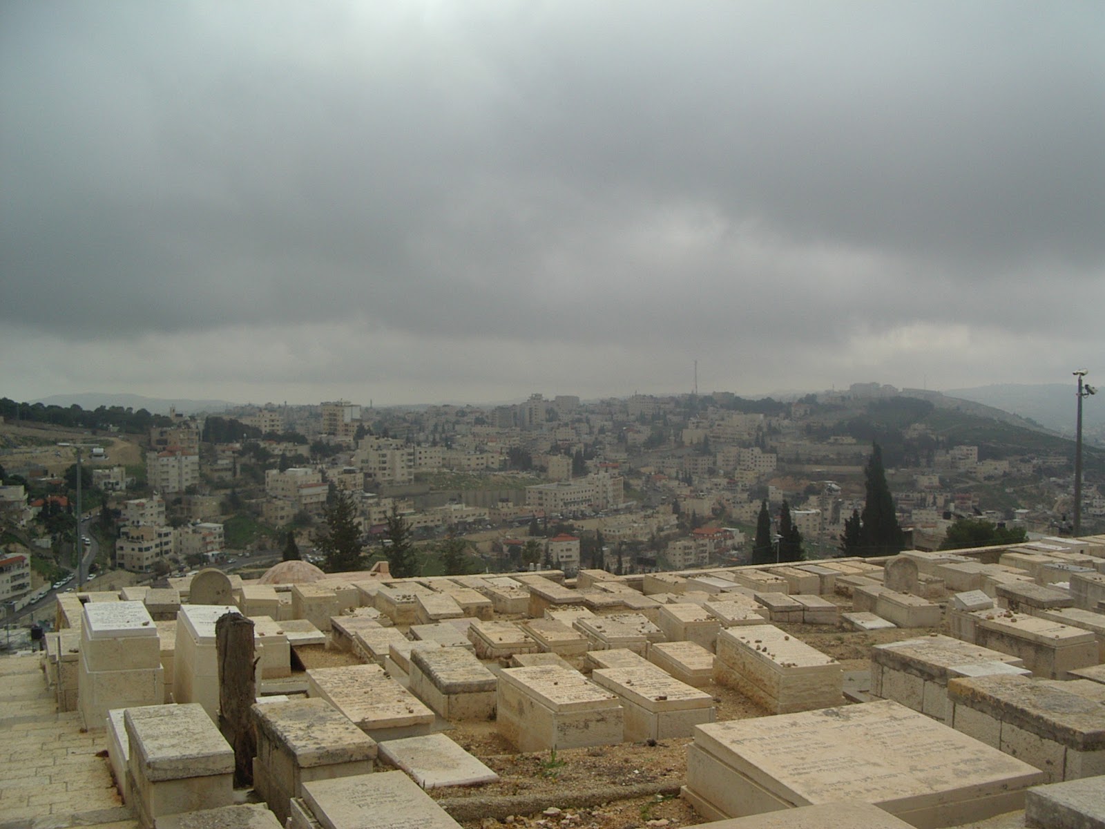 All My Foreparents The Cemetery on the Mount of Olives