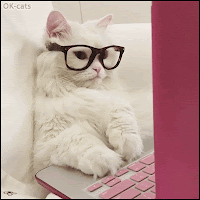 Amazing Cat GIF • Funny cat with glasses working on his pink laptop like an human