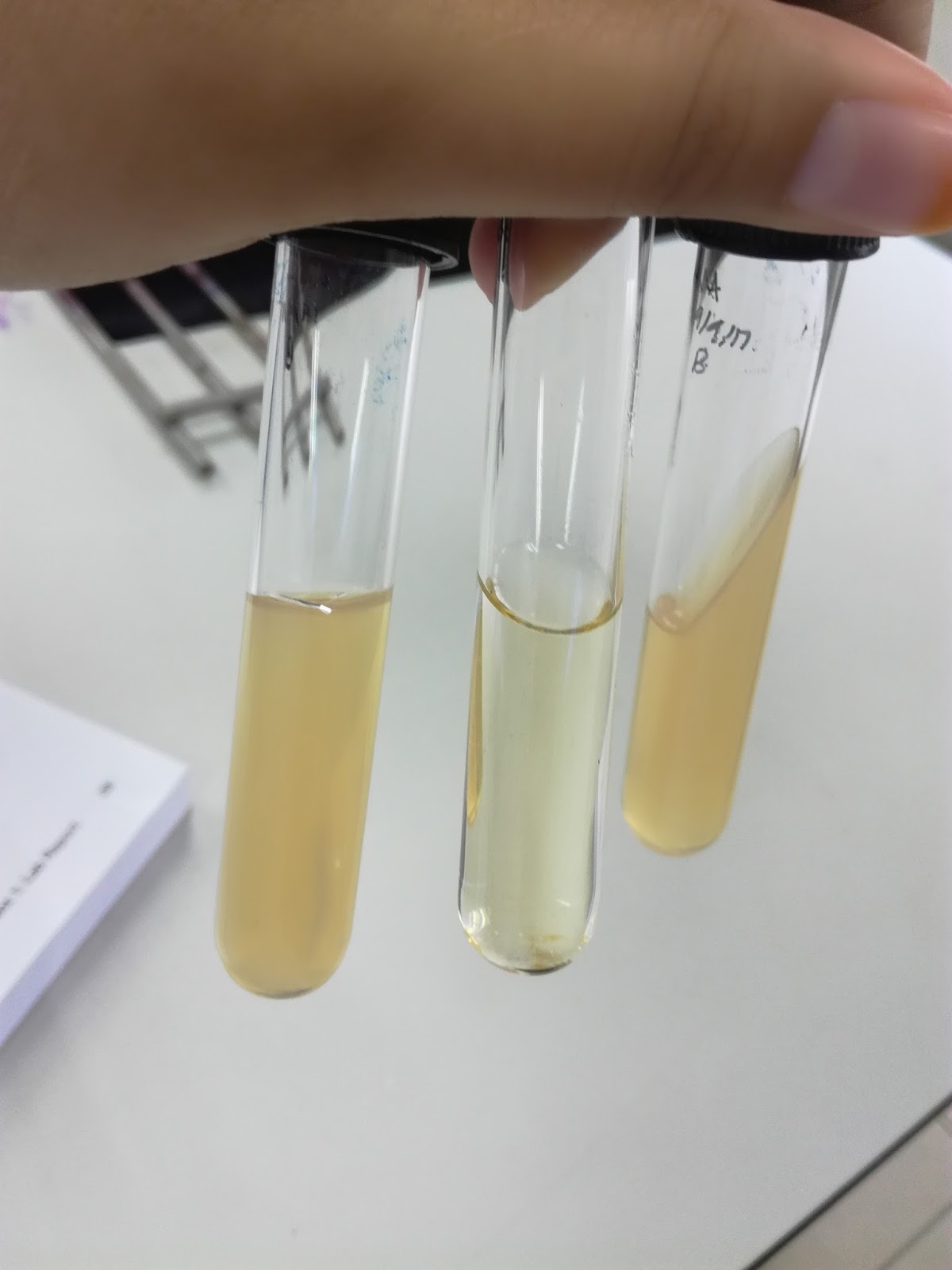 THE FIRST EXPERIMENT