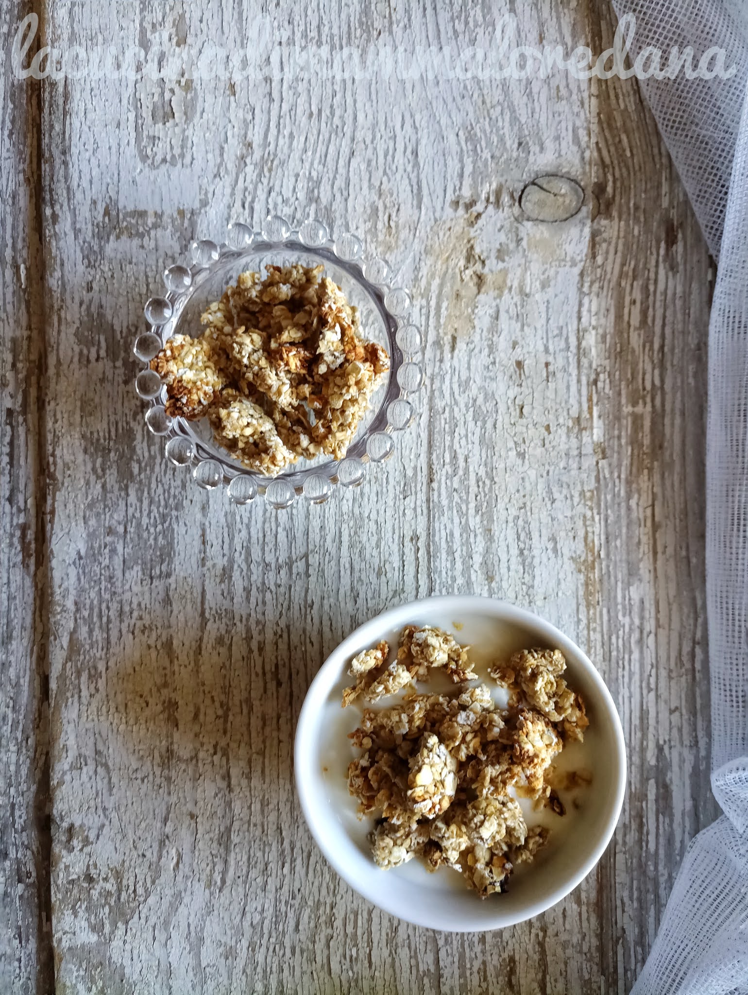 Granola light vegana velocissima solo tre ingredienti la cucina di mamma