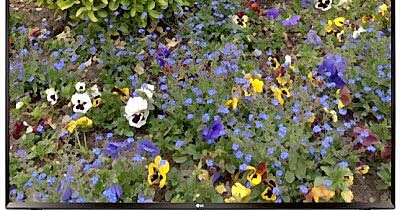 Master Electronics Repair !: REPAIRING / SERVICING TV LG 49UJ631V