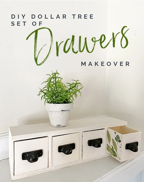 set of drawers with plants and overlay