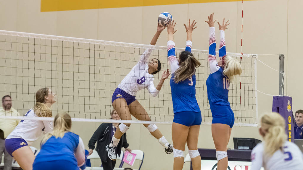 University of Albany UALBANY VOLLEYBALL IMPROVES TO 20 IN AMERICA